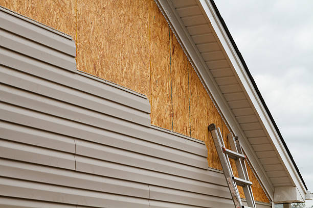 Professional Siding Contractor technician working in Springfield, KY